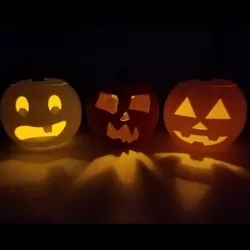 Jack-O'-Lantern Family Photos