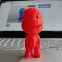 Little Big Planet, Sackboy (support free)