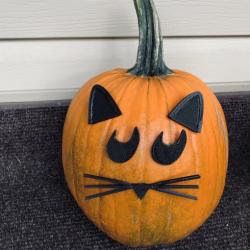 pumpkin cat faces 3D Models | Page 1 | STLFinder