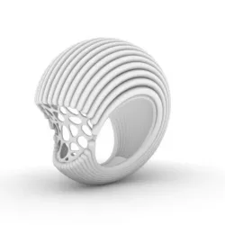 Nautilus