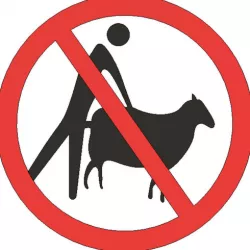 No sheep fucking - funny sign
