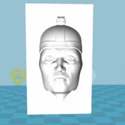 Optical illusion face