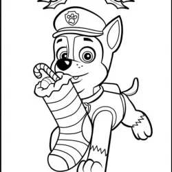 Patrol Noel CHASE Patrol