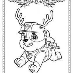 Patrol RUBBLE Noel Patrol