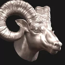 Ram Head