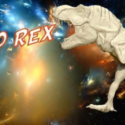 Rex Chicken, REX Chicken