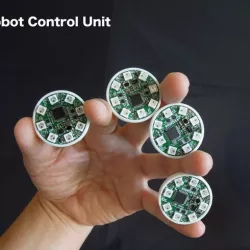 Robot Control Unit