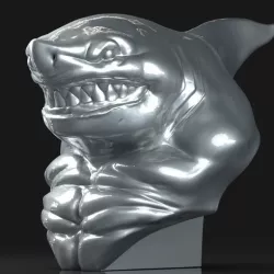 Shark Portrait