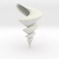 Shell