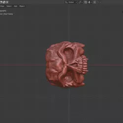skull