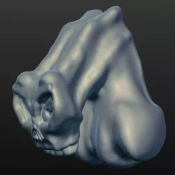 Skull packer