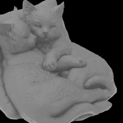 Sleeping kittens