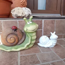 snail