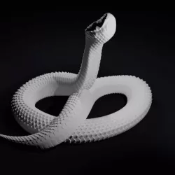 Snake Snake