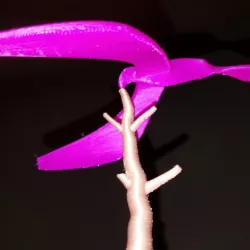 Spinning Balancing Bird Remix Without Attached Supports