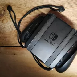 Strap clip for switch