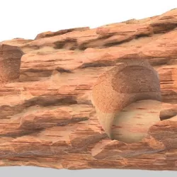 Tree Trunk - Desk Decoration