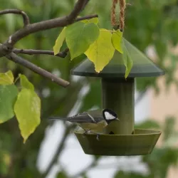 Vogel Futterspender / Bird food dispenser