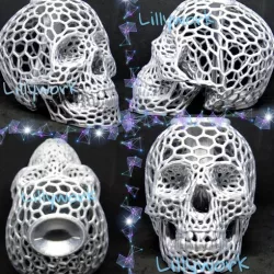 Voronoi Skull bank with lid