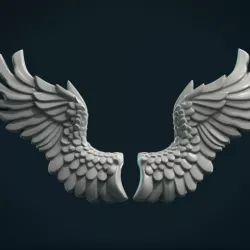 Wings Relief