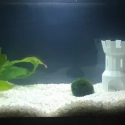 Aquarium Ancient Tower decoration