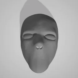 bdsm mask