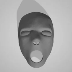 bdsm mask