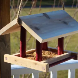 Bird Feeder