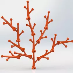 Branch