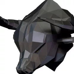Bull Neo 4.2.2