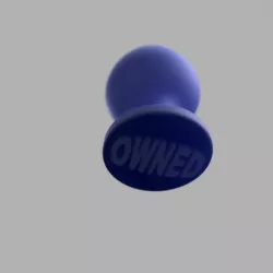 Butt Plug with the words OWNED embossed on the back