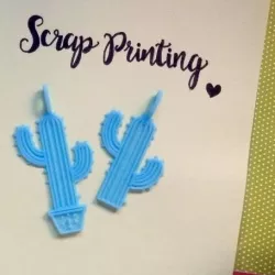 Cactus Charm!