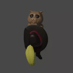 Cat with soft boots