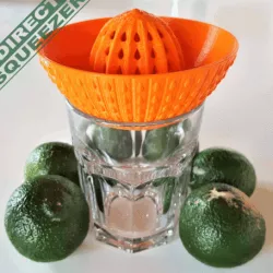 DIRECT SQUEEZER