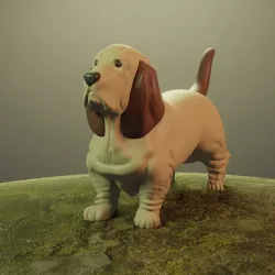 Dog Basset Hound