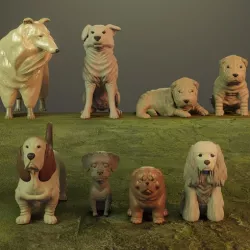 DOG Pets Collection