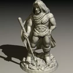 Druid