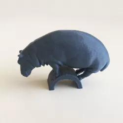 Hippo