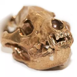 Hyena Skull Pendant with Loop