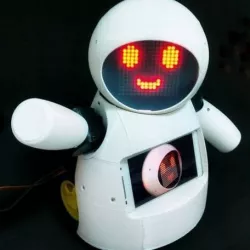 Joy Robot (Robô da Alegria)