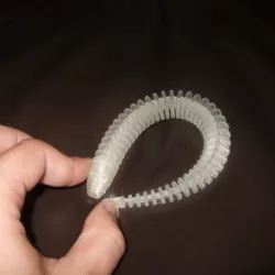 LongSnake