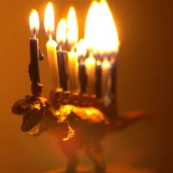 Menorahsaurus
