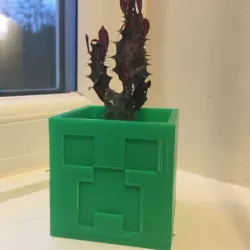 Minecraft Creeper Planter / Pot