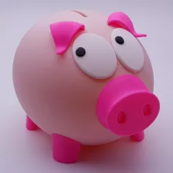 Mr Biggy Panks The Rather Shy Piggy Bank