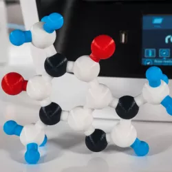 Multi-Color Caffeine Molecule Model