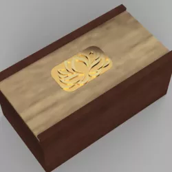 Mystery puzzle box