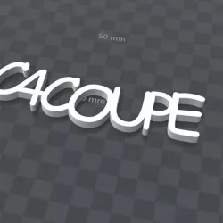 PERSONALIZABLE KEYCHAIN ​​C4COUPE