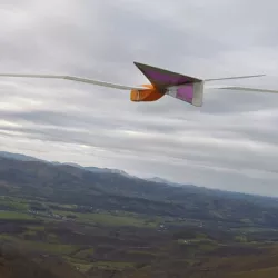 Quetzal RC glider