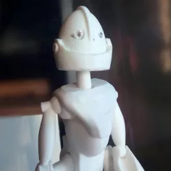 Robot head