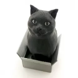 Schrodinky!:(dual extrusion version)